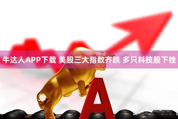 牛达人APP下载 美股三大指数齐跌 多只科技股下挫